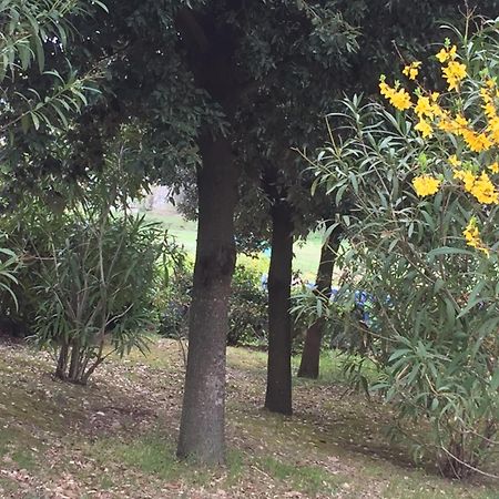 טודי Appartamento Dell Agriturismo Pane E Olio מראה חיצוני תמונה