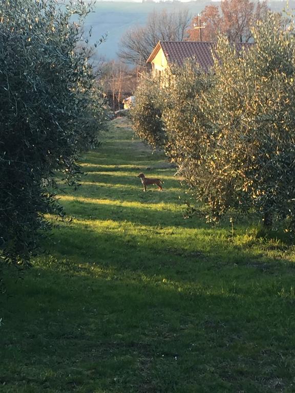 טודי Appartamento Dell Agriturismo Pane E Olio מראה חיצוני תמונה