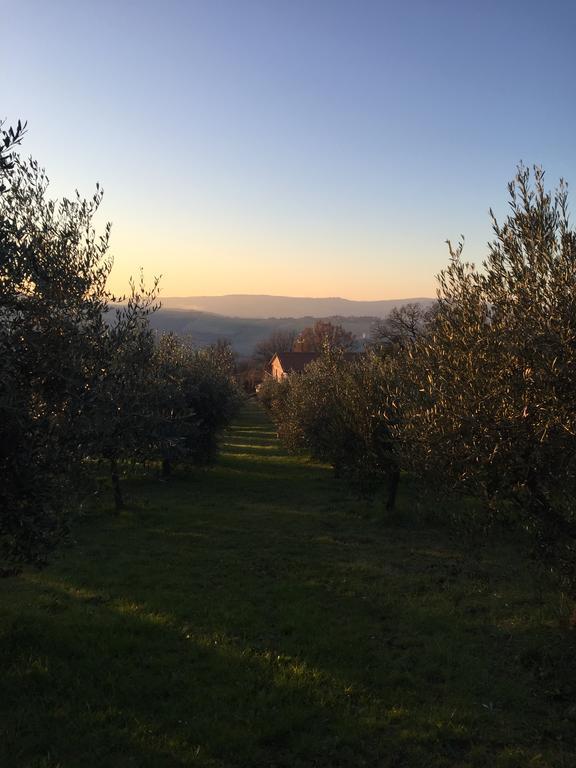 טודי Appartamento Dell Agriturismo Pane E Olio מראה חיצוני תמונה